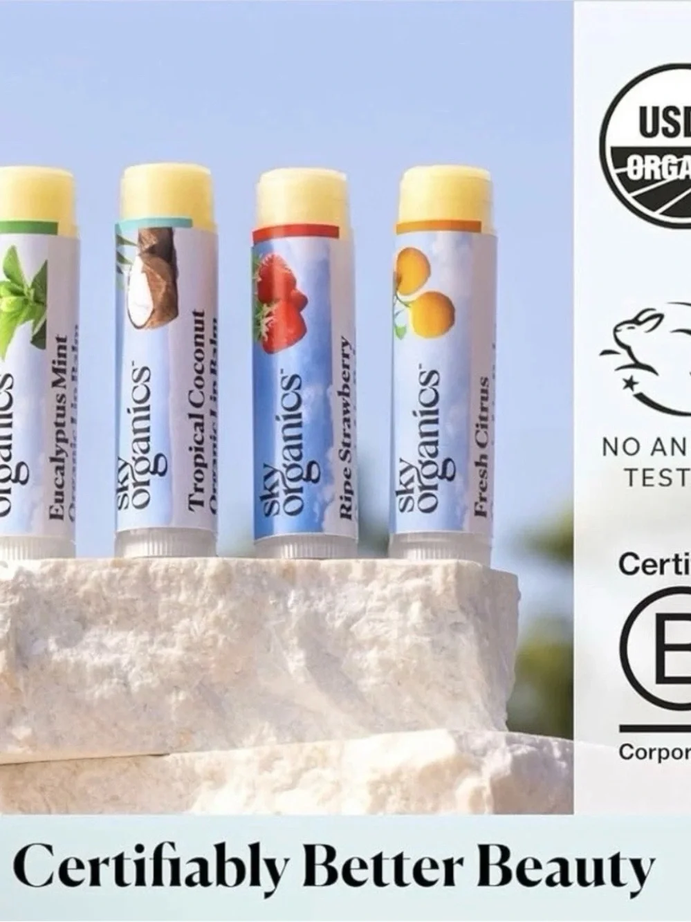 Sky Organics Organic Lip Balm w Beeswax - Mint, Coconut, Strawberry & Citrus